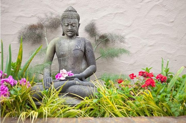 garden-statue-asian-statue-meditating-buddha-flowers-shepard-design-landscape-architecture_3908